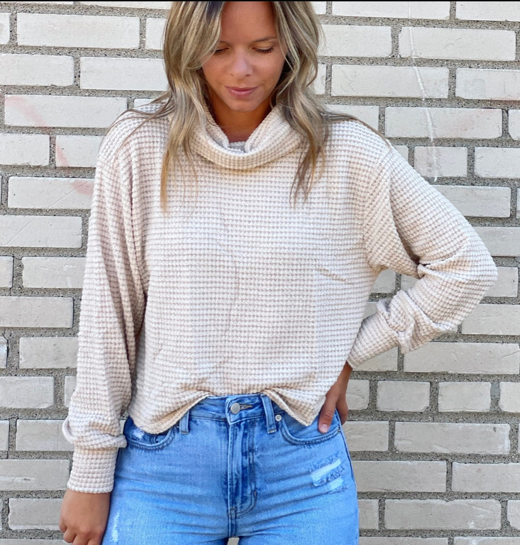 Oat Knit Top